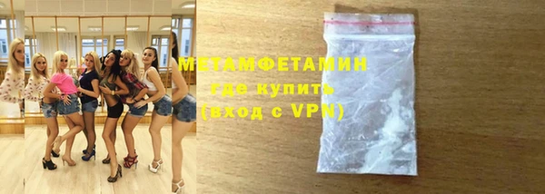 шишки Белокуриха