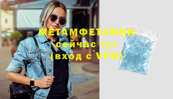 шишки Белокуриха