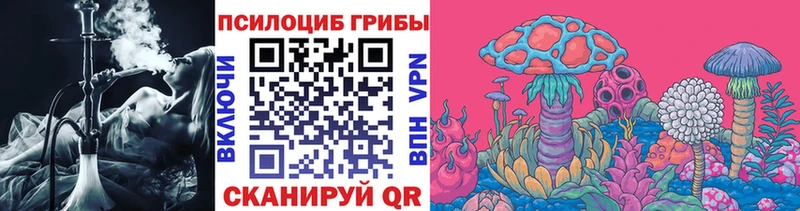 Псилоцибиновые грибы Psilocybine cubensis  сколько стоит  Теберда 